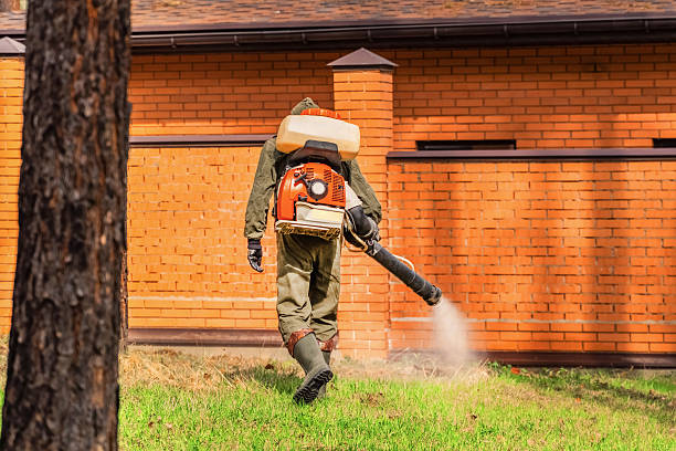 Trusted Emergency Pest Control service in Chewelah, WA - Nex Pest Control